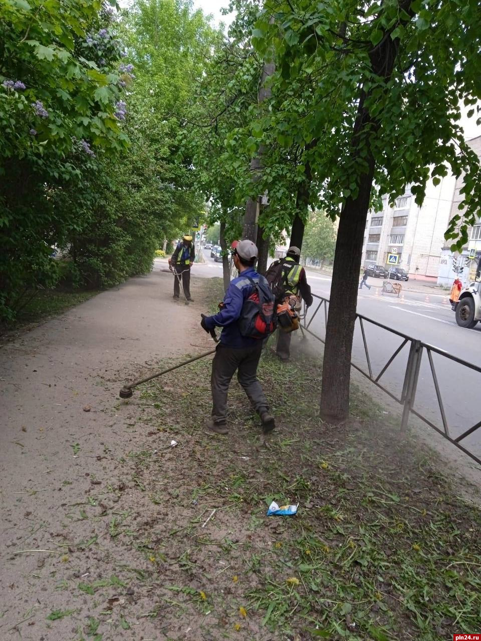 К покосу травы приступают в Великих Луках : Псковская Лента Новостей / ПЛН