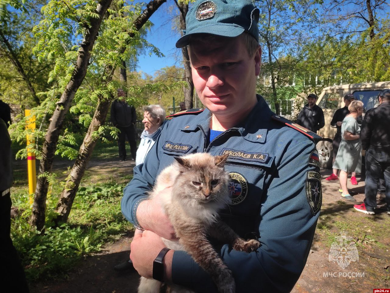 Шесть кошек спасли из задымленной квартиры в Пскове : Псковская Лента  Новостей / ПЛН