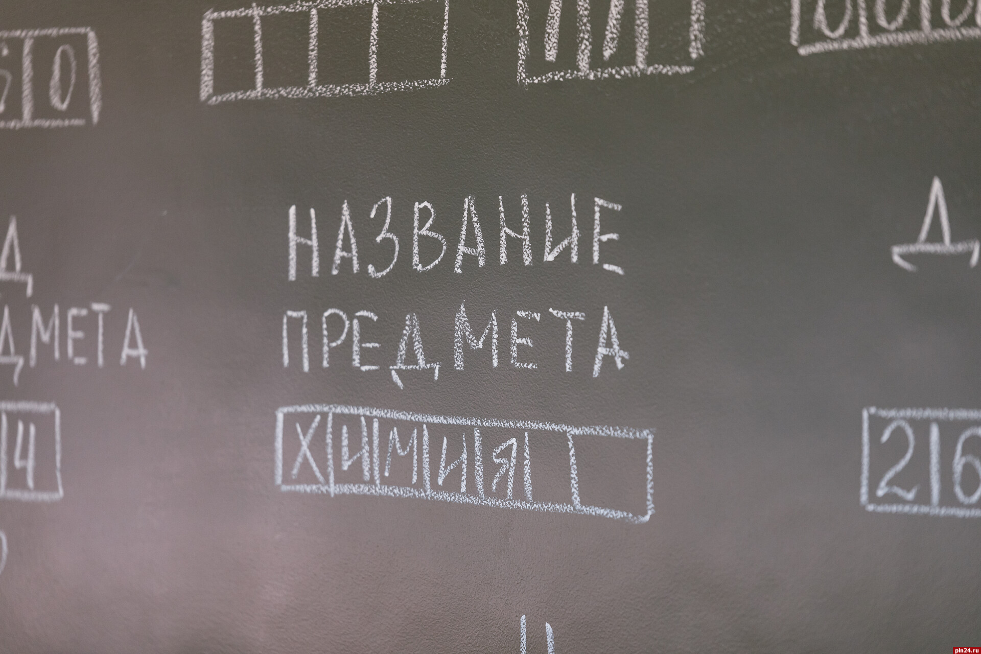 Все двери открыты, или Куда поступает псковская молодёжь : Псковская Лента  Новостей / ПЛН