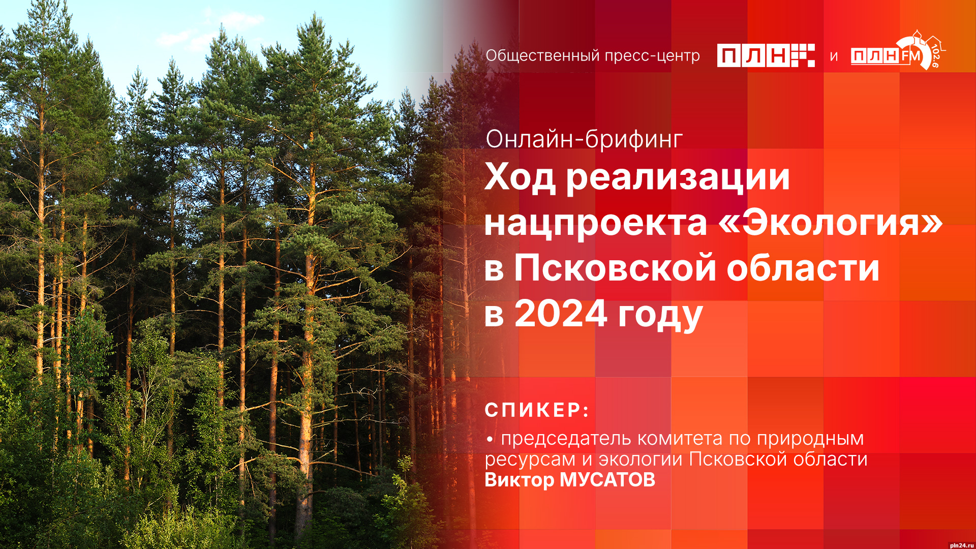 Начинается видеотрансляция онлайн-брифинга о реализации нацпроекта  «Экология» в регионе : Псковская Лента Новостей / ПЛН