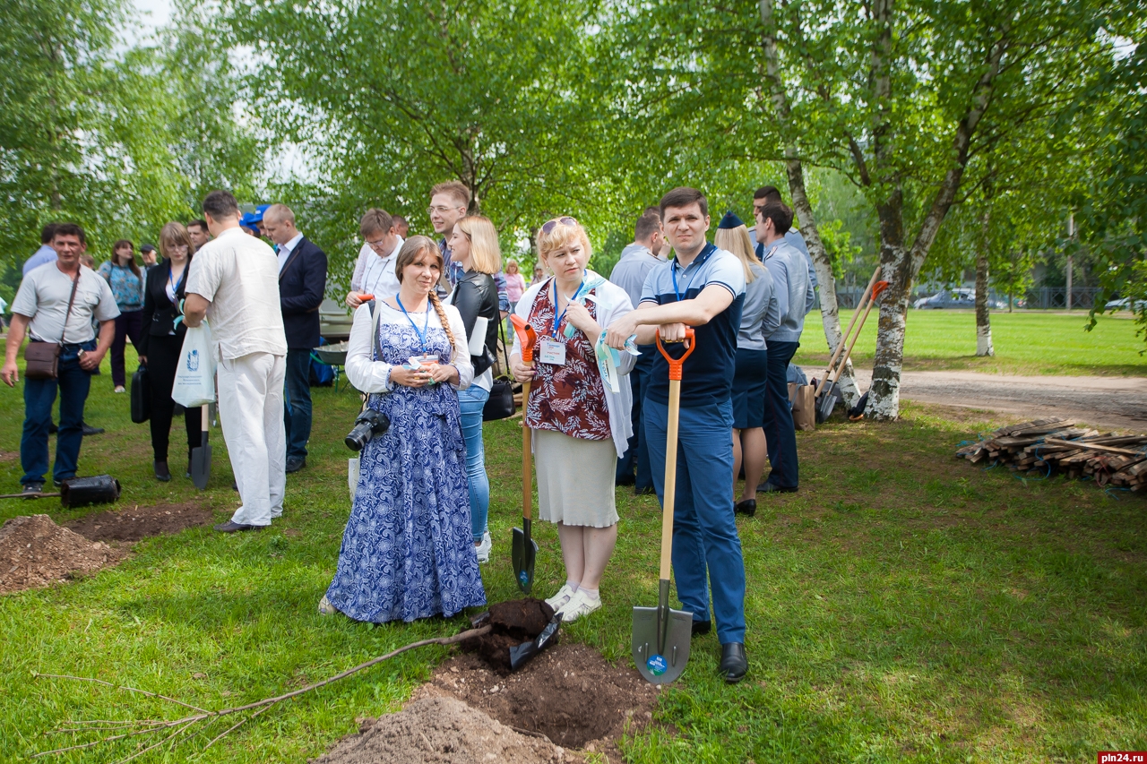 Вишневая аллея Псков.