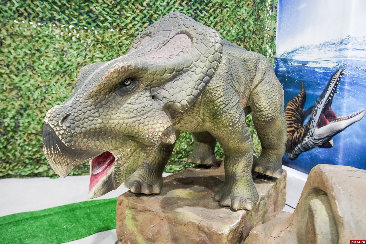 Динозавры в перми в колизее. Выставка динозавров Рязань. Выставка динозавров Владивосток. Фото динозавров настоящих во весь рост. В Ирландии выставку динозавров.